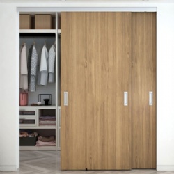 Sliding Closet Flush Wood Door