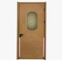 Vision Lite Series Flush Wood Door